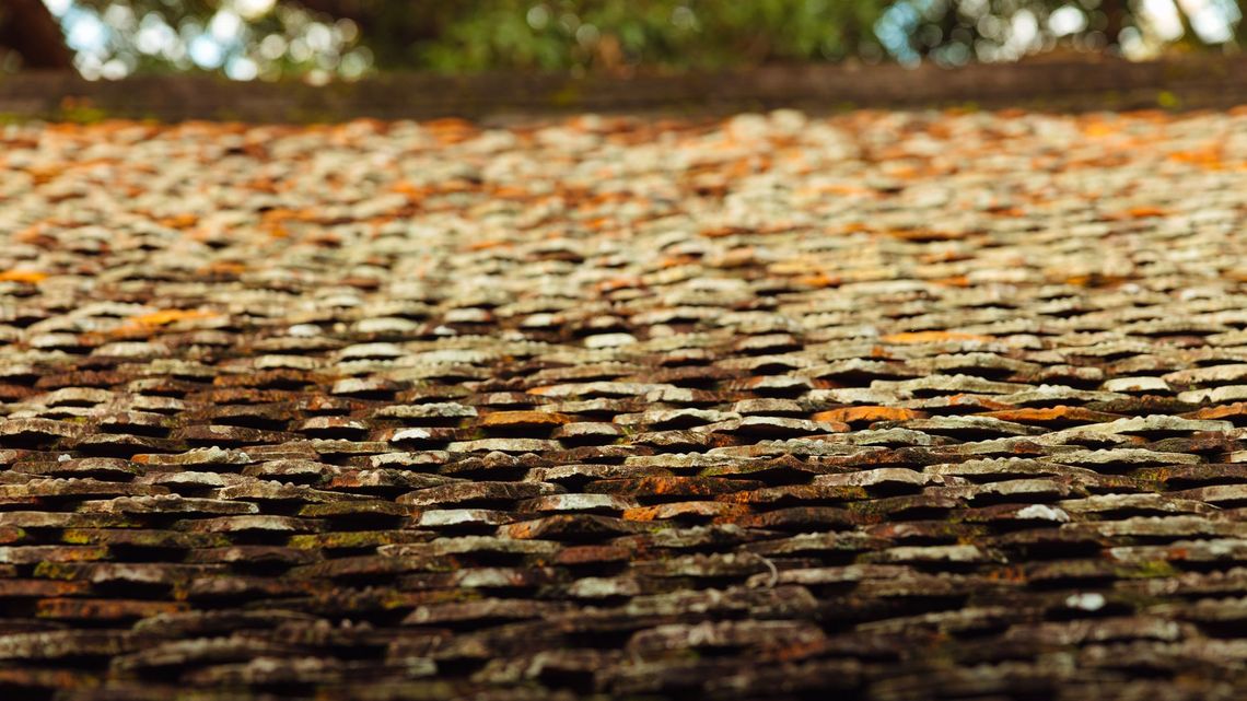 Démoussage de toiture à Reims (Marne) : mousse et lichens sur tuiles